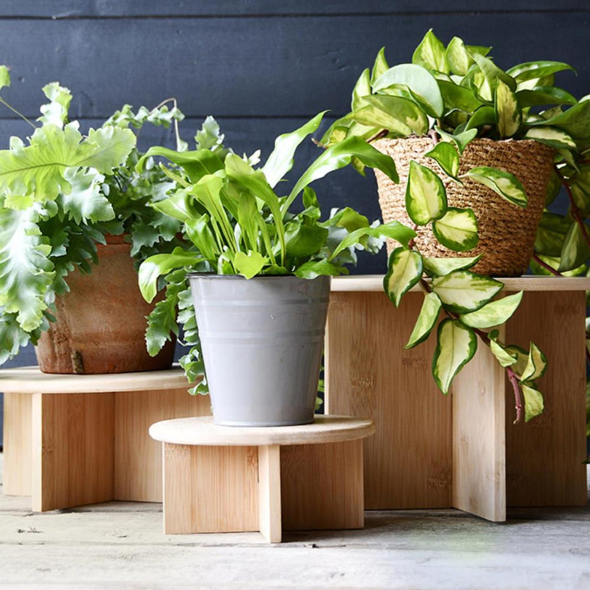 Table à plantes design Esschert bambou m