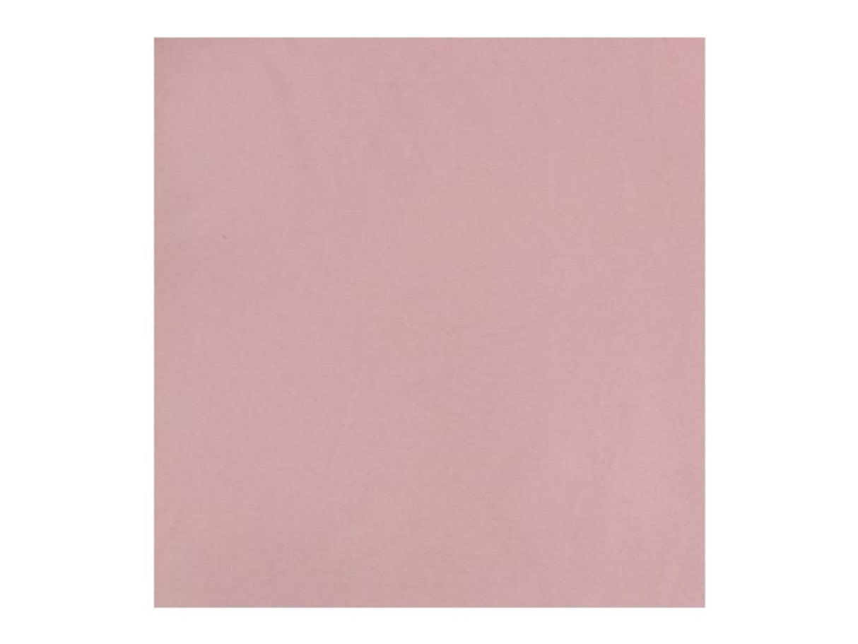 Carton photo 25 feuilles 70x50cm vieux rose