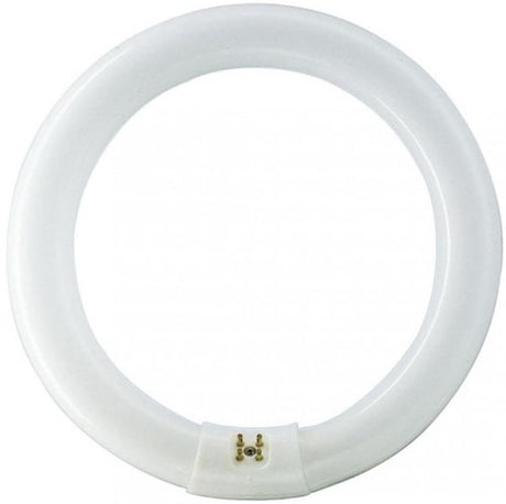 Philips rond fluorescent 40w 840 tle blanc froid philips 5900617