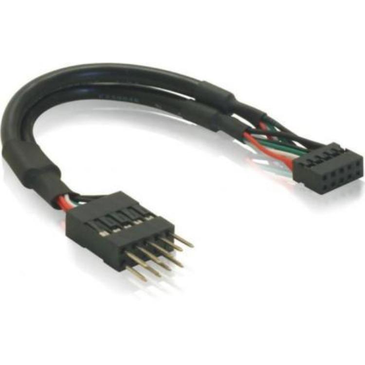 Delock delock kb usb 2.0 bu10pin-st10pi noir 0,1m