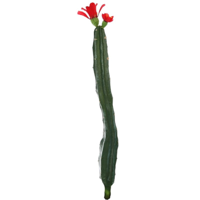 Cactus avec fleur rouge vert 35 cm | 24 pièces
