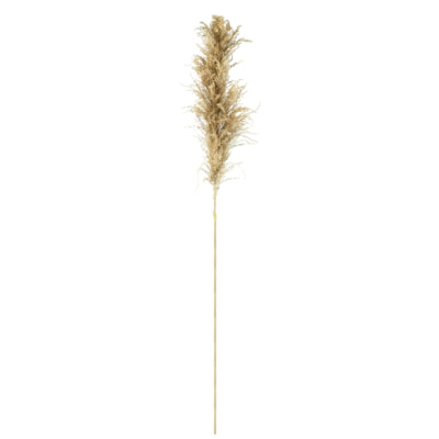 Herbe de pampa Parlane naturelle 120 cm | 18 pièces