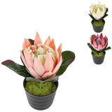 Plante artificielle en pot protea 21 cm 3 assortis | 12 pièces