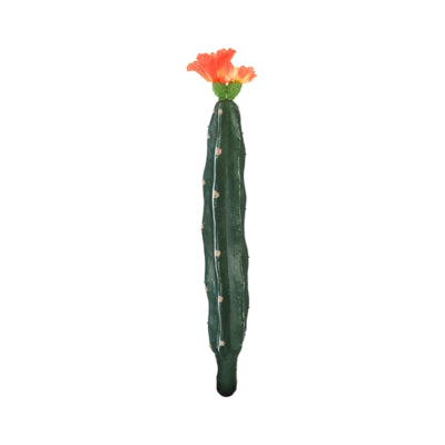 Cactus avec fleur orange vert 23 cm | 24 pièces