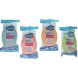 Éponge Calypso assortie