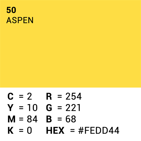 Papier de fond supérieur 50 Aspen 1,35 x 11m