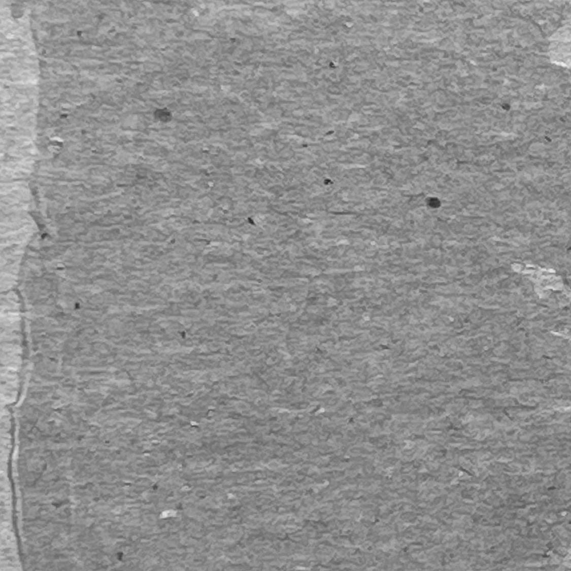 Ranger Ink Ranger • Pâte de texture de détresse Tim Holtz translucide