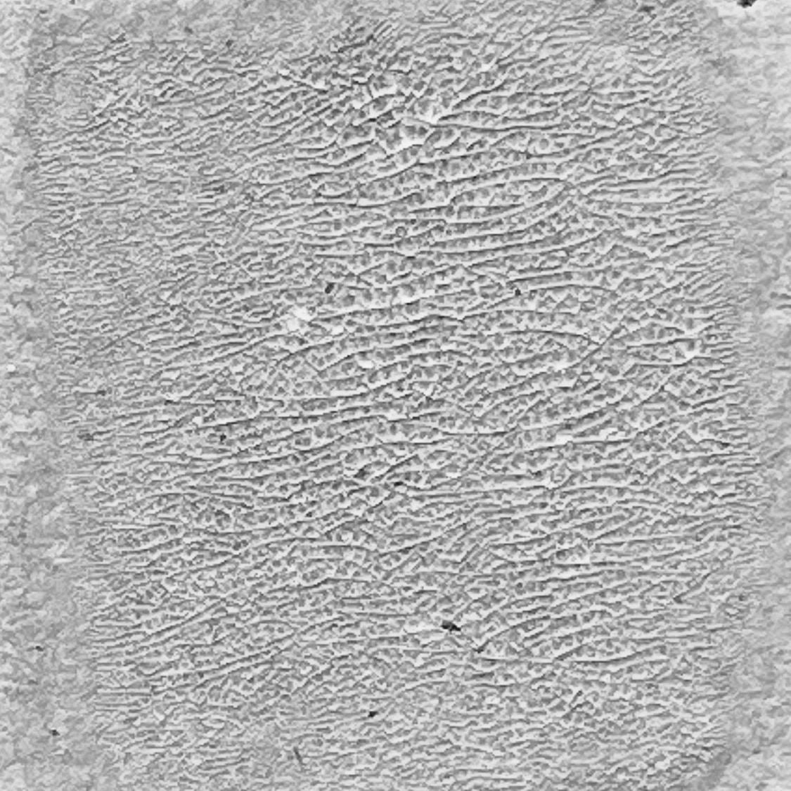 Ranger Ink Ranger • Tim Holtz Peinture craquelée de détresse translucide