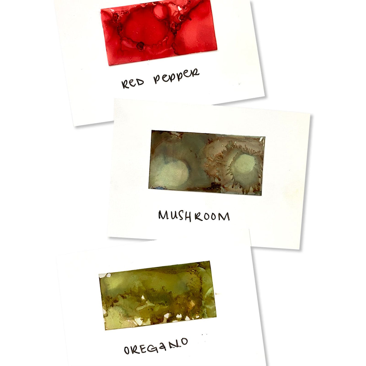 Ranger Ink Ranger • Tim Holtz Encres à l'alcool Jardin Toscan 14 ml