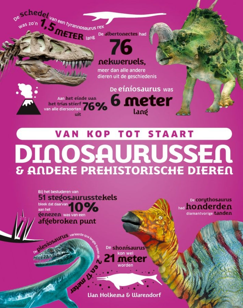 Van Holkemawarendorf de la tête à la queue : dinosaures et autres animaux préhistoriques