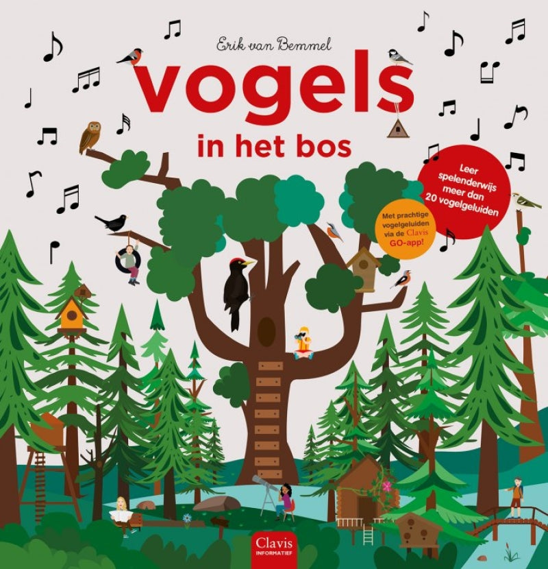 Oiseaux Clavis dans la forêt