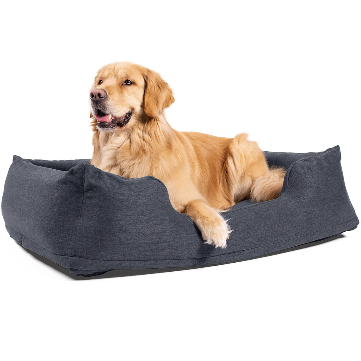 Lit gonflable pour chien Intex | taille moyenne