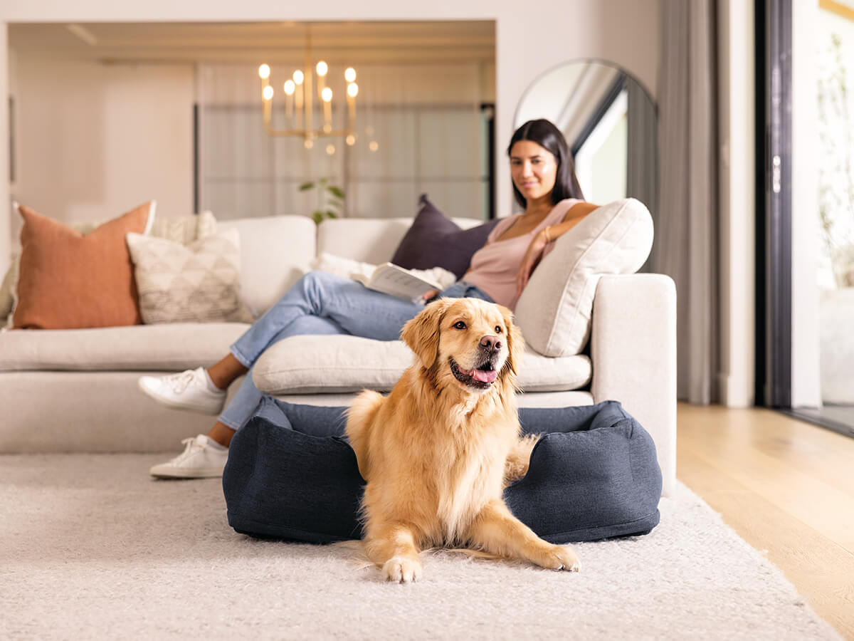 Lit gonflable pour chien Intex | taille moyenne