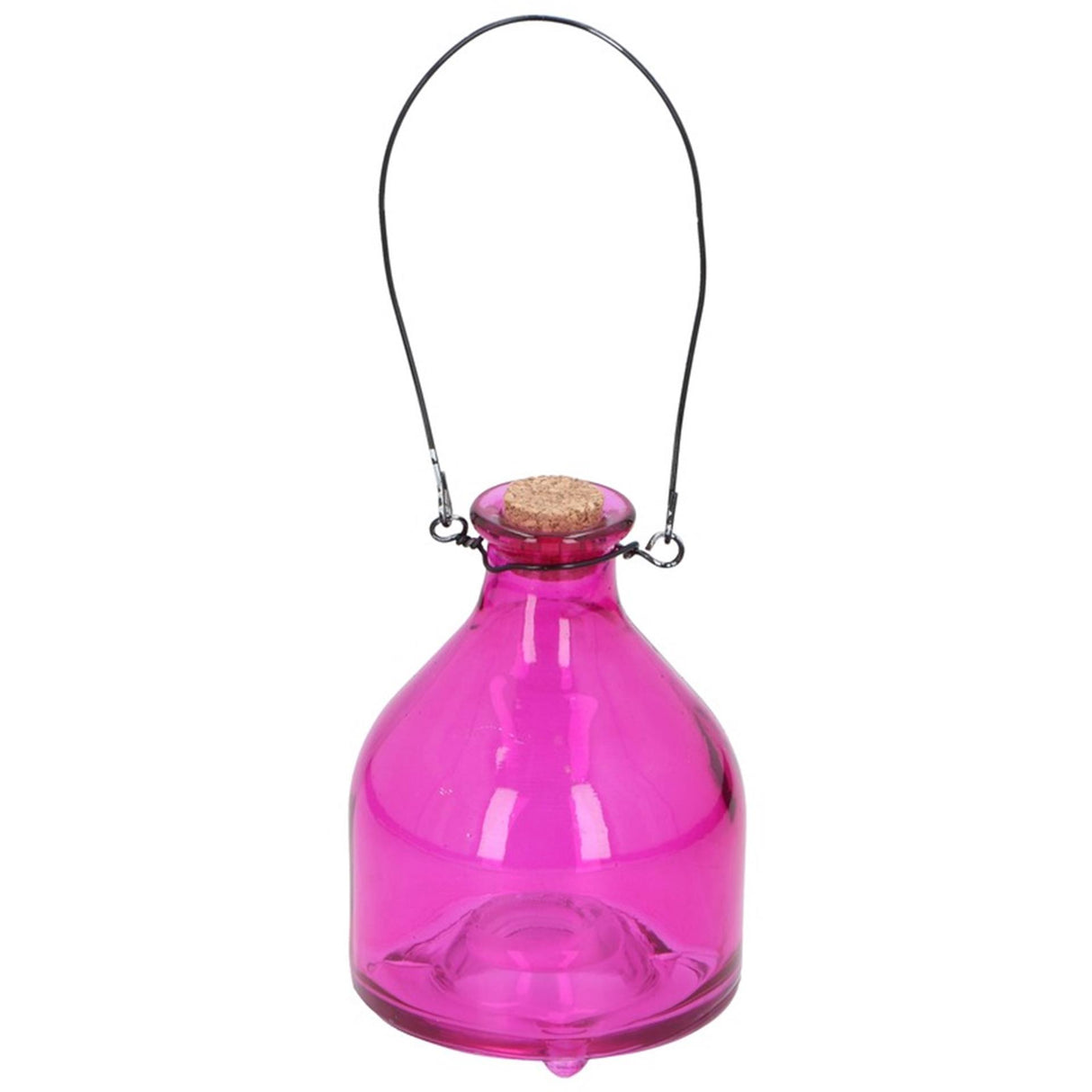 Verre attrape-guêpes avec pendentif en métal 4 assortis | 6 pièces