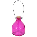 Verre attrape-guêpes avec pendentif en métal 4 assortis | 6 pièces