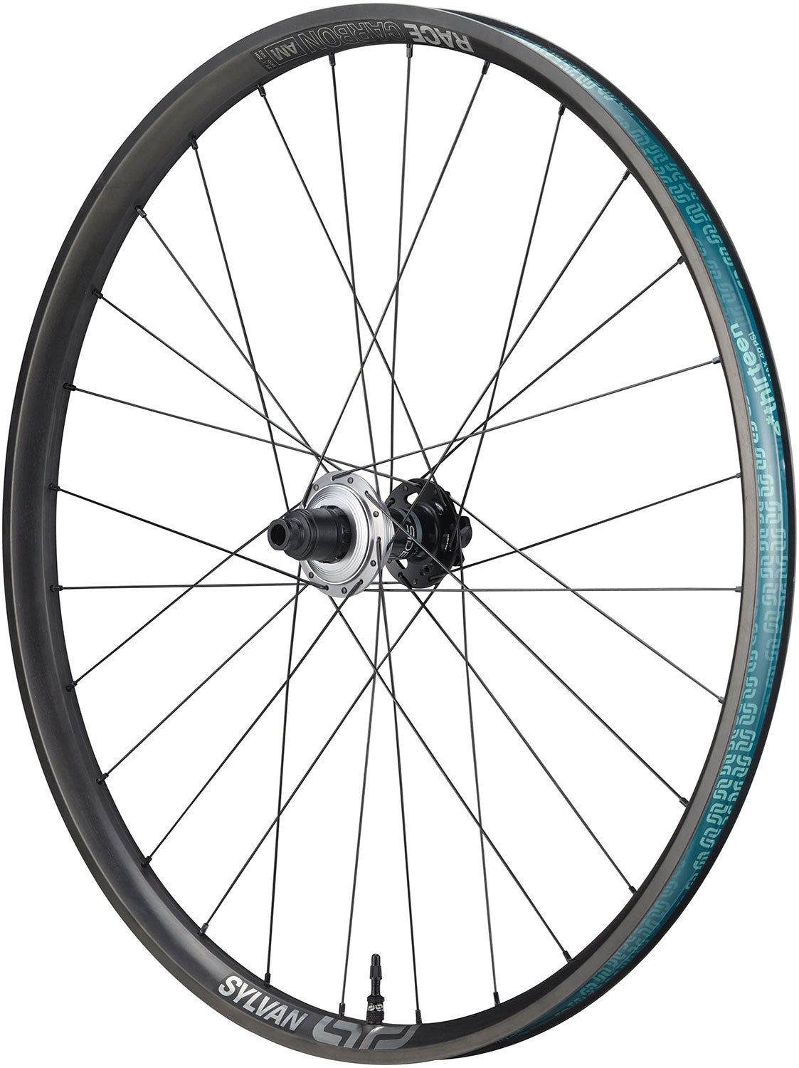 E*thirteen sylvan sidekick race all mountain carbone 12x148mm 29 arrière-plan
