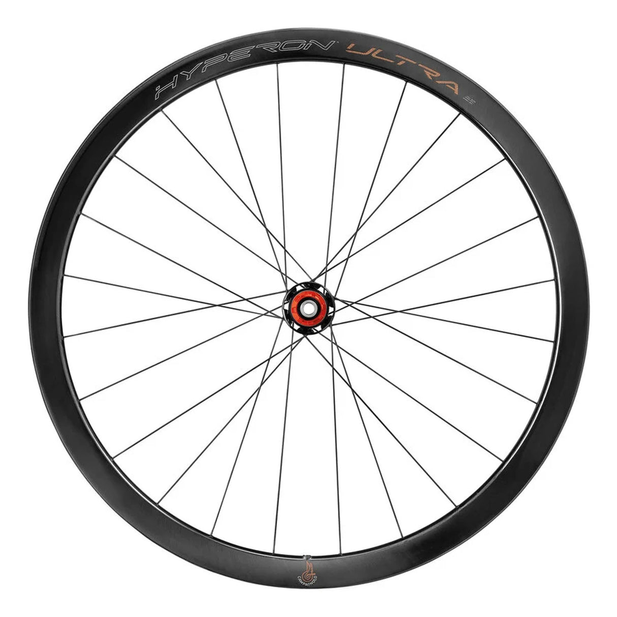 Roue arrière Campagnolo hyperon ultra 700c db en carbone à boyau