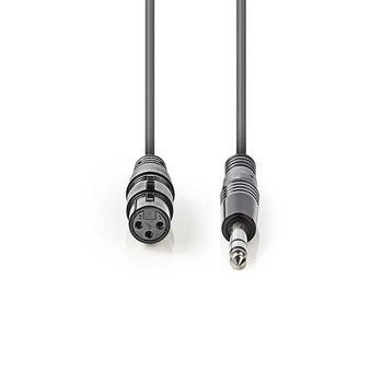 Câble audio XLR Nedis