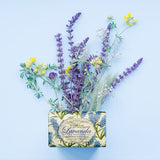 Savon Nesti dante lavande blu del mediterraneo 150gr.