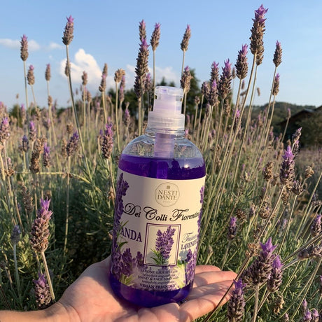 Pompe à savon Nesti dante fiorentini lavande 500ml