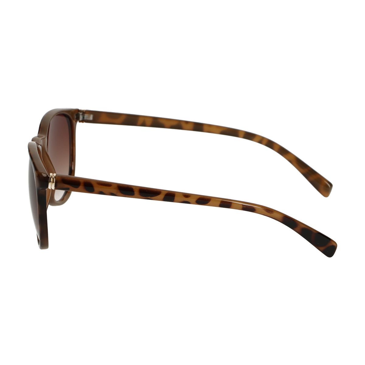 Lunettes de soleil Spectrum léopard dégradé marron dames