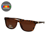 Lunettes de soleil polarisées Spectrum rectangle tortue marron dames