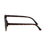 Lunettes de soleil Spectrum club rondes havane doré marron unisexe