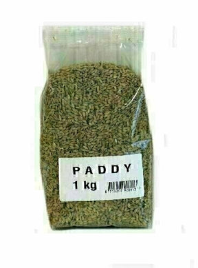Paddy