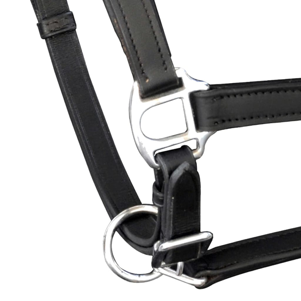 Vidaxl Halster Vraiment réglable en cuir COB