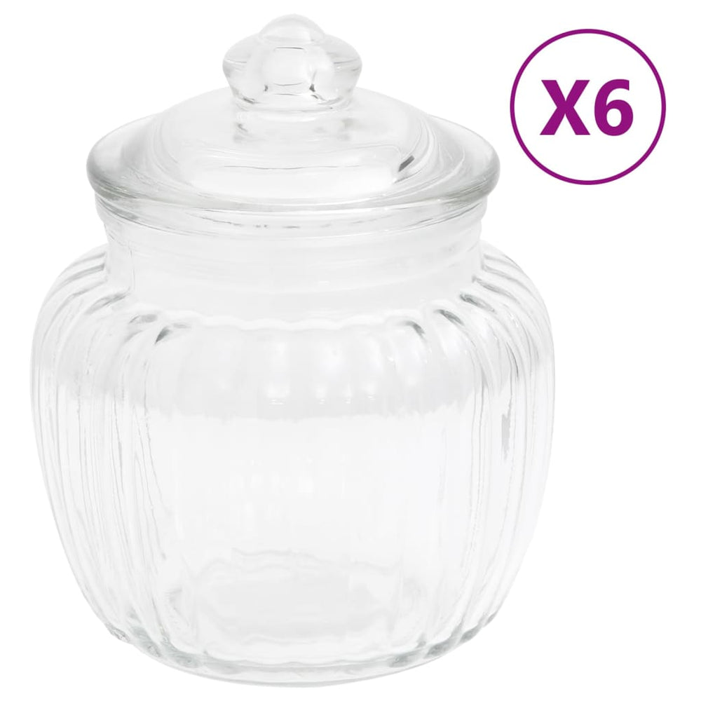 Vidaxl Pots de stockage 6 st 500 ml de verre