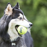 Kong squeakair tennis ball yellow with beep