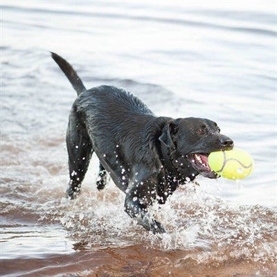 Kong Airdog Football Yellow