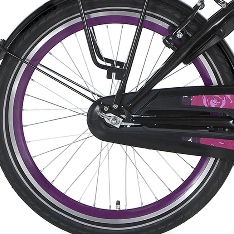 Roue arrière alpina 22 Nexus 3 RN J19db Purple Zink Spk