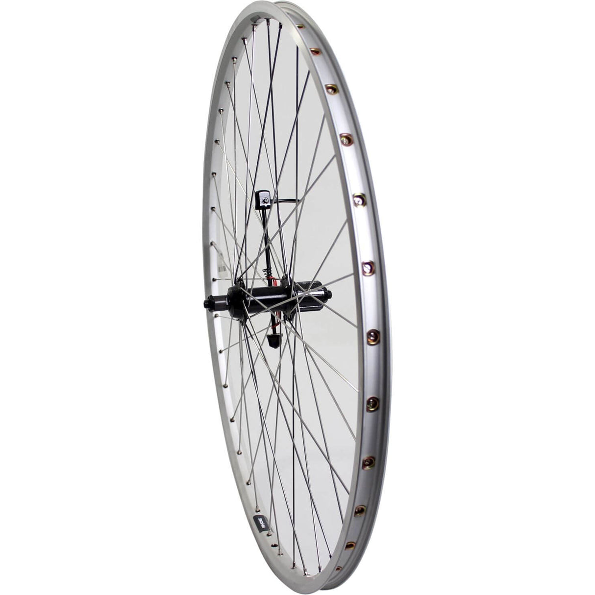 Roland Tylne Wheel 28 ACTAGE CASS 7V ZAC19 Srebrny SPK ze stali nierdzewnej