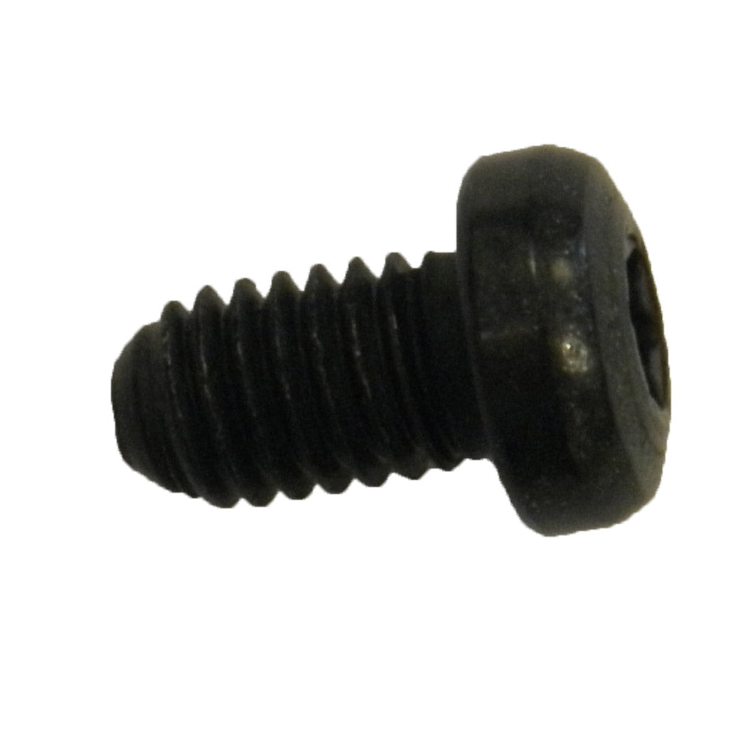 Magura filling screw M6 0720848 per 10 pieces