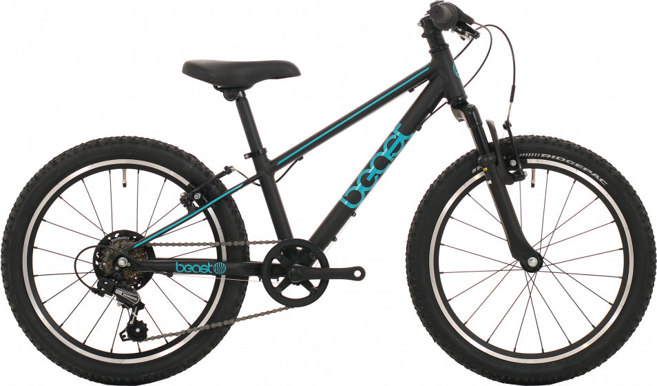 Bikefun les 20 pouces 26 cm garçons 6V V-freins bleu noir