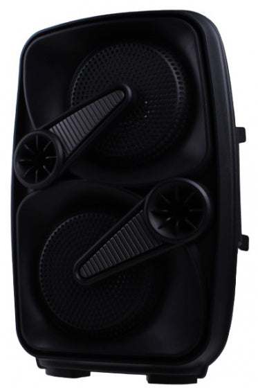 Haut-parleur BT avec microphone noir 5 pièces