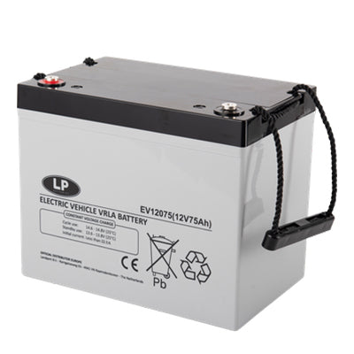 Batteria da 12 V senza marca 75A