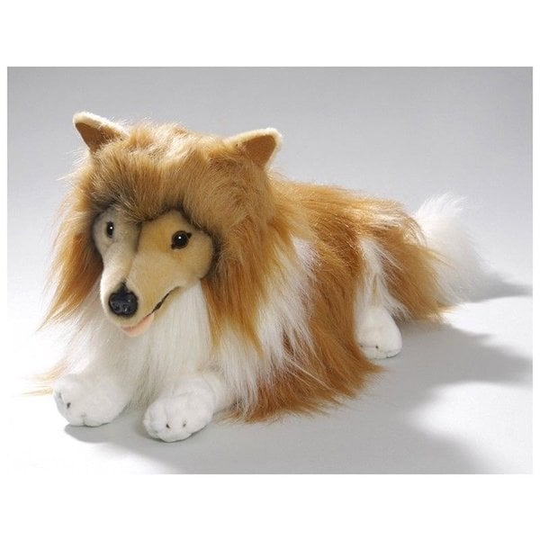 Leżący collie 45 cm