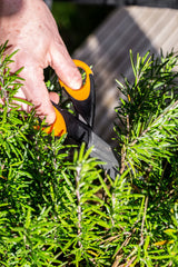 Masterclass Herb Ciseaux 15 cm en acier inoxydable en caoutchouc noir orange