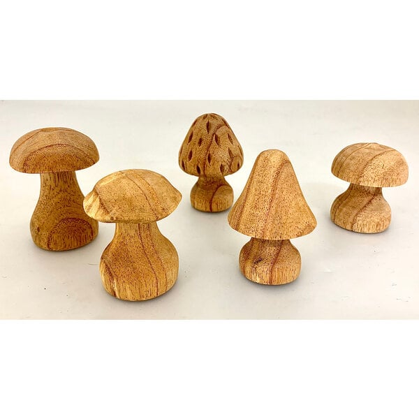 Papoose Toys Papoose Toys Mushrooms Hand Carved 5pc