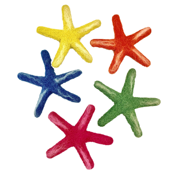 Giocattoli papoose Papaose Sea Star Laevigata 5pc