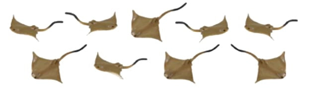 Safari Roggen Play Animal Set Junior 2 cm Brown 192 pièces