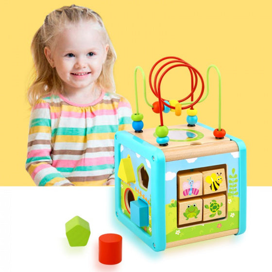 Activité Toyy Toy House Cubrus 18 mois 6 pièces